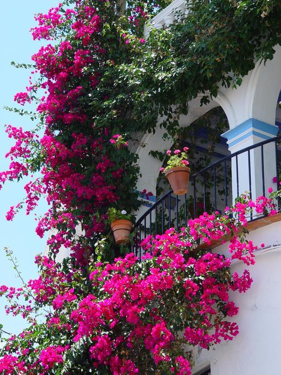 Pierre & Vacances Mojacar Playa Bagian luar foto